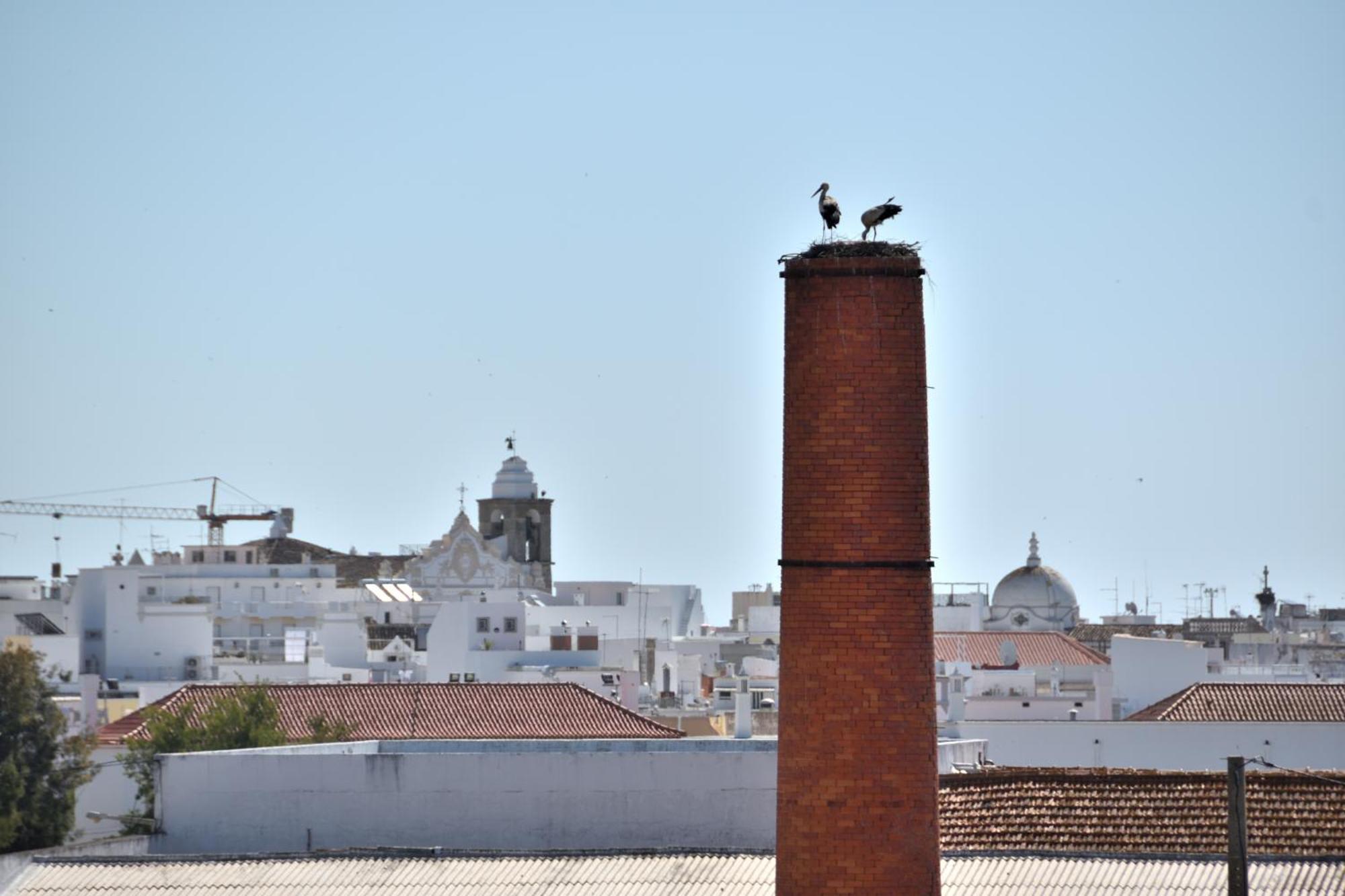 Olhão Stork Apartment المظهر الخارجي الصورة